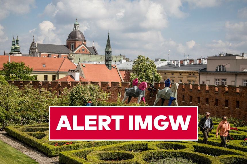 alert
