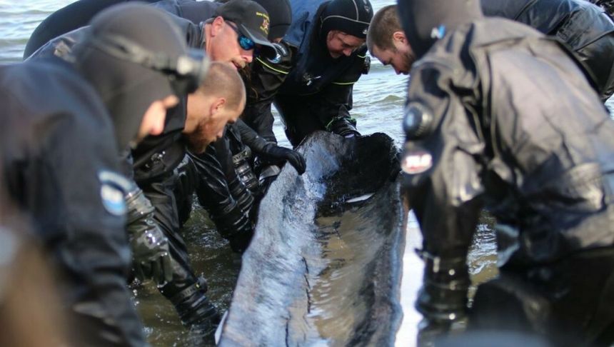 Starożytne kajaki w jeziorze w USA