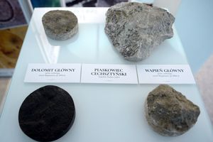 Antropocen