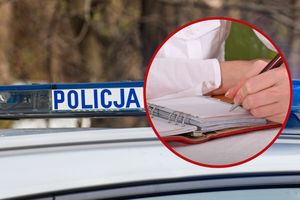 policja