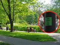 Park miejski i naklejka na lampie