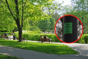 Park miejski i naklejka na lampie