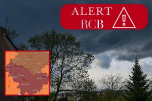 Alert