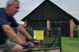 Wirus Afrykanskiego Pomoru Swin w gospodarstwie