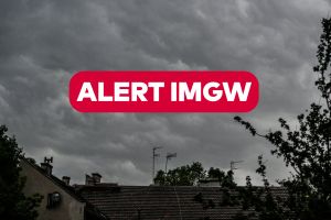 Alert
