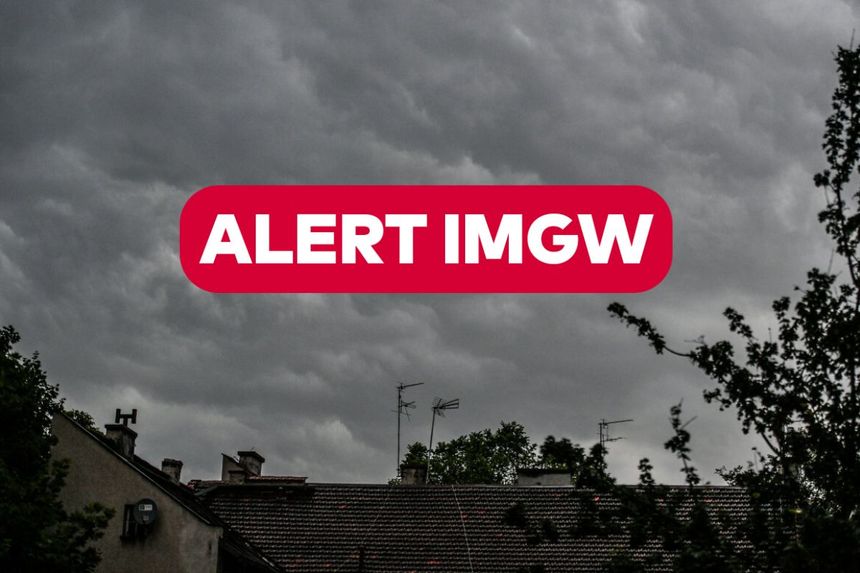 Alert