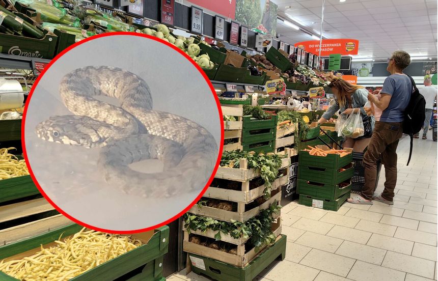Sklep Lidl