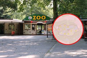 Nowe zoo w Poznaniu i mapa wirusa ASF