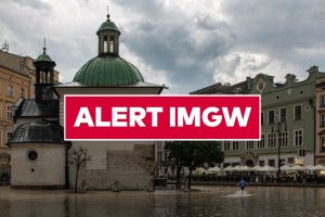 Alert