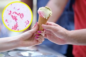 Lody