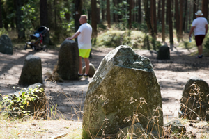 Kamienny krąg w Węsiorach