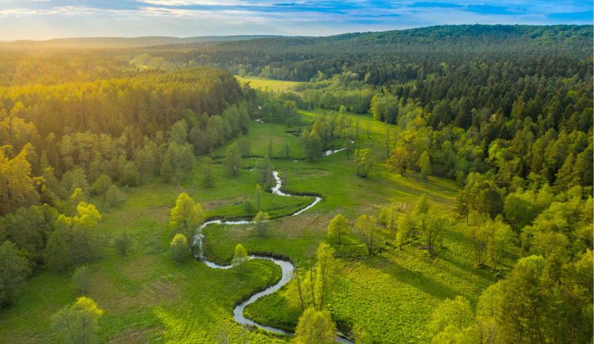 Widok na Roztocze 