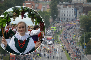 Winobranie w Zielonej Górze