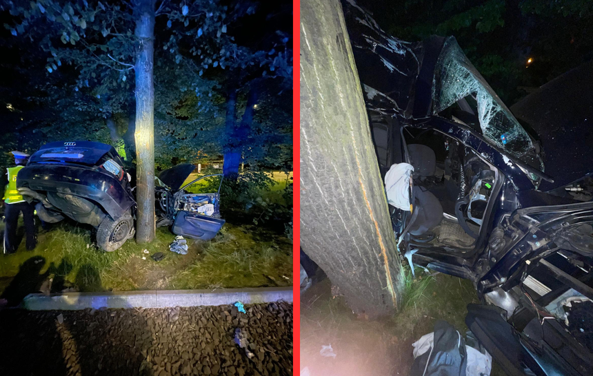 Rozbite auto na drzewie