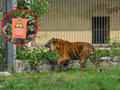 ZOO Wrocław