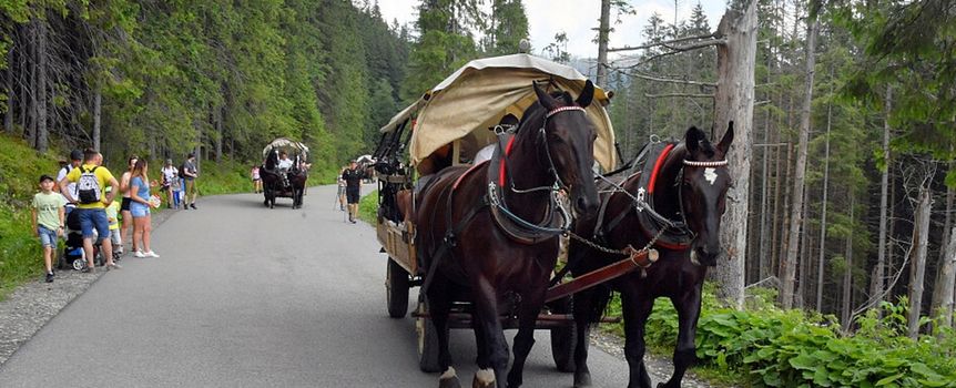 Konie nad Morskim Okiem