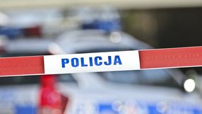 policja