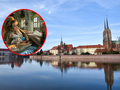 Nowy serial "Lady Love"