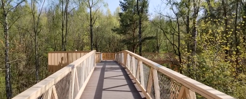 Ścieżka w koronach drzew w Poznaniu