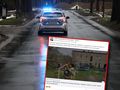 Policja