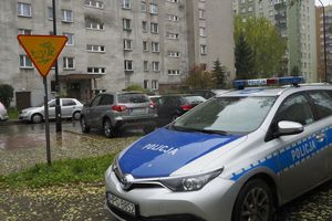 policja