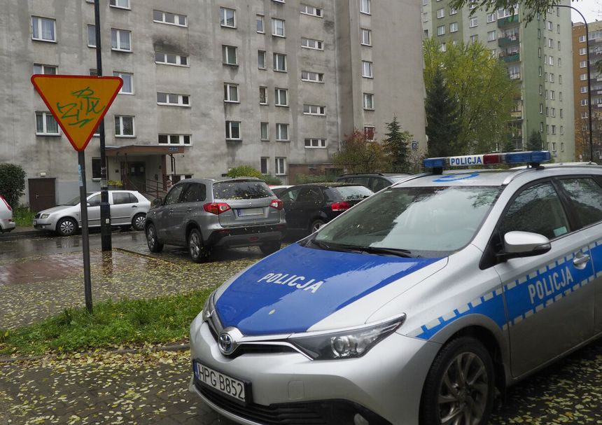policja