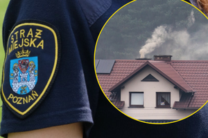 Straż miejska w Poznaniu - za co rozdaje mandaty?