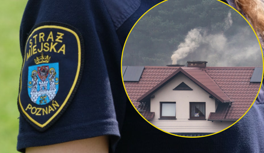 Straż miejska w Poznaniu - za co rozdaje mandaty?