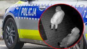Policja