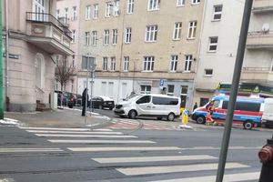 Akcja na Wildzie w Poznaniu