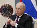 Władimir Putin, zamieszki na lotnisku w Dagestanie