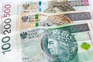 Złoty mocno traci po decyzji RPP. "Polska waluta leży"