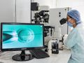 In vitro