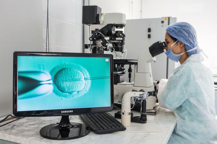 In vitro