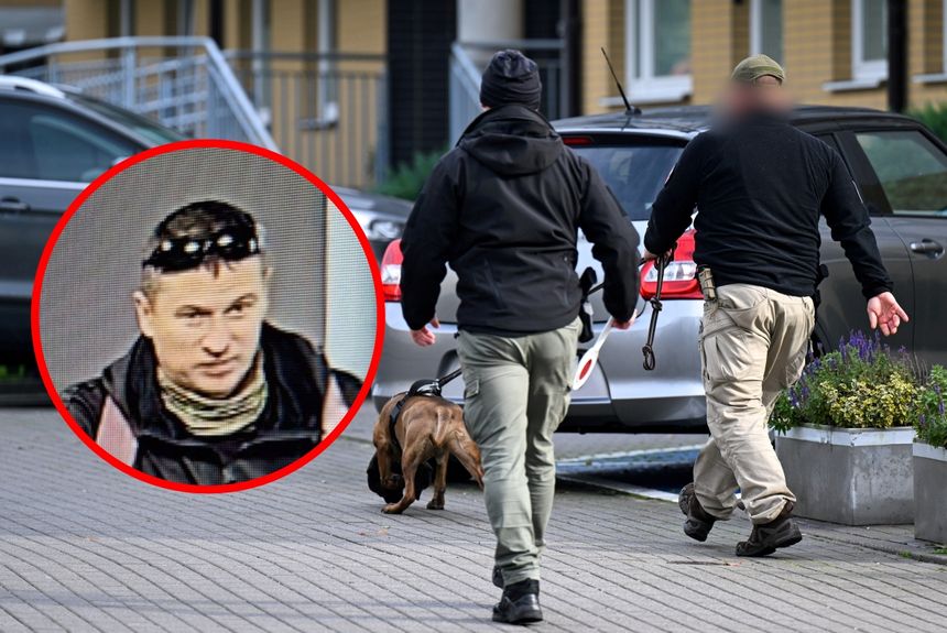 Poszukiwania Grzegorza Borysa