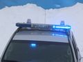 Policja