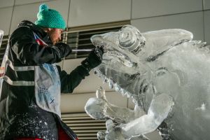 Poznań Ice Festival
