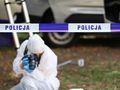 policja