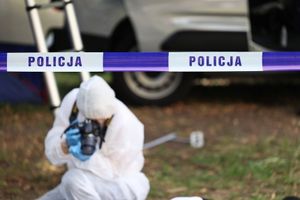 policja