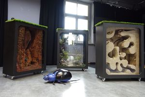 "W trawie. Laboratorium sensoryczne"