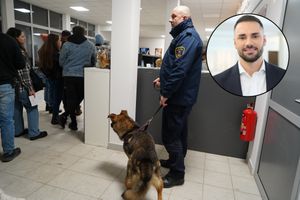 Adopcja psów w Krakowie