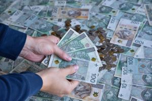 Nowa ustawa ws. kredytobiorców? „Sprawy będą ciągnęły się 15 lat”