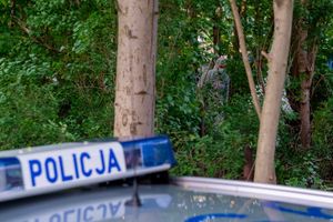 policja