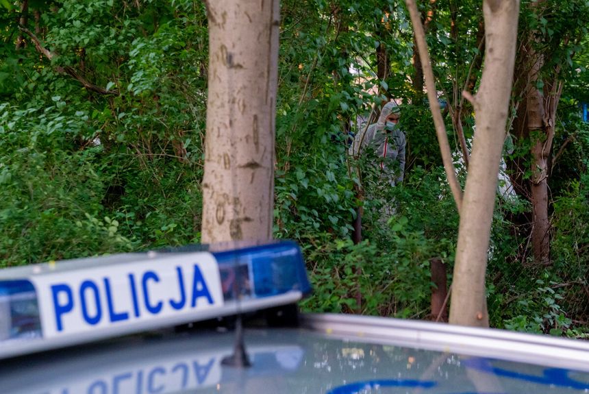 policja