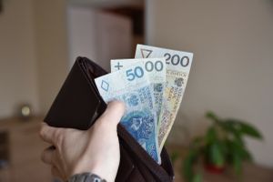 pieniądze w porfelu