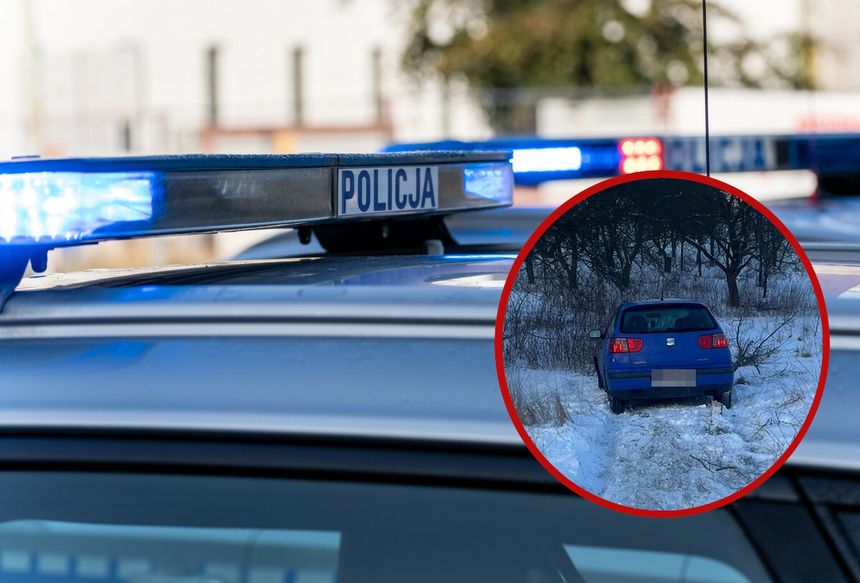 policja