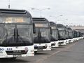 Autobusy MZK