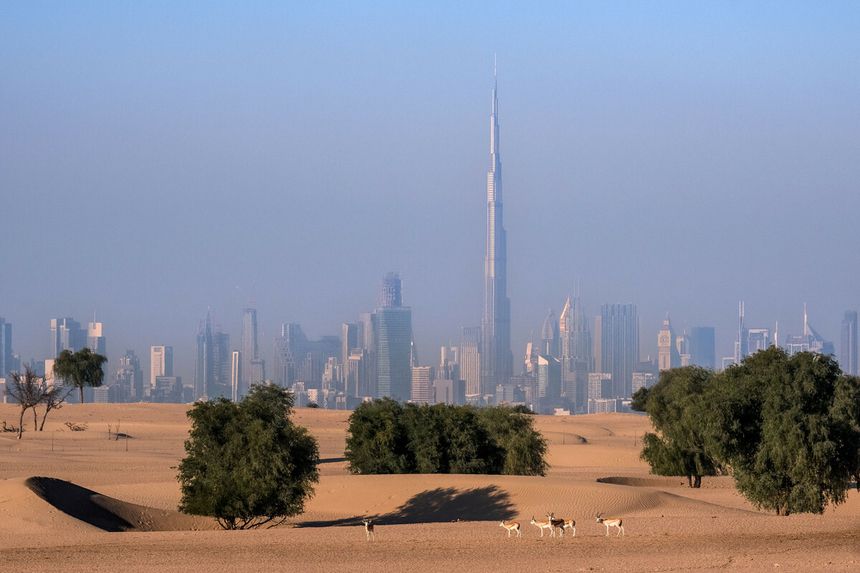 Dubaj