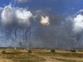Ćwiczenia rosyjskiej armii Zapad-21