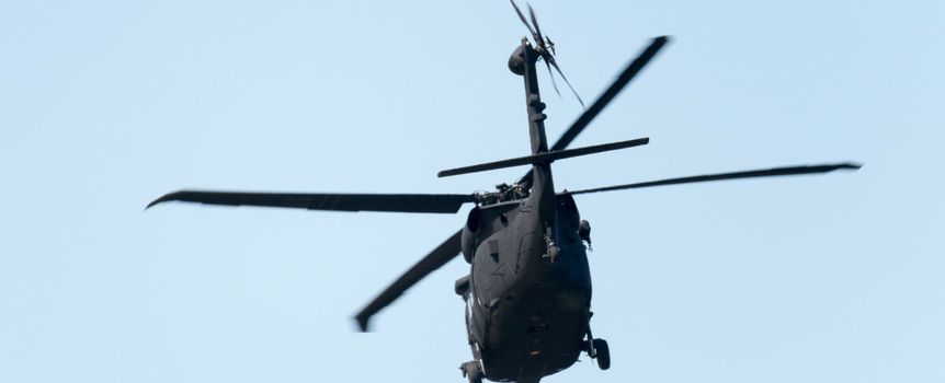 black hawk